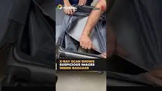 Passenger caught at Delhi Airport with hydroponic weed from Bangkok | #shorts