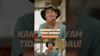 KANDANG AYAM ANTI BAU & MULTIFUNGSI