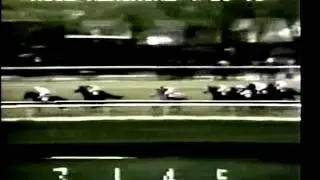 Angle Light - 1973 Wood Memorial Stakes