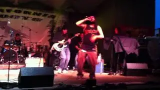 Tribal Seeds- Vampire (Live at California Roots 2011)