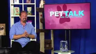 Pet Talk Sizzle Reel