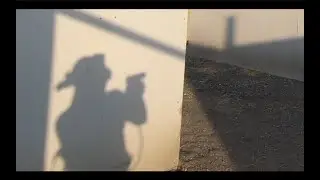 Airsoft Rush Bangkok 36 - SSP5