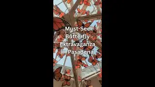 Must-See Butterfly Extravaganza in Pasadena
