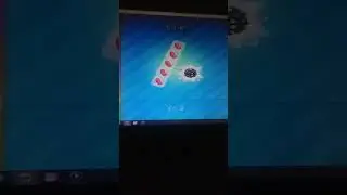 PREM UPDATE LIVE 2026년02월01일 일요일 Candy Crush Saga game(3)🎮