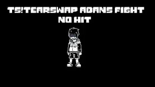 no hit TS!TearSwap adans fight
