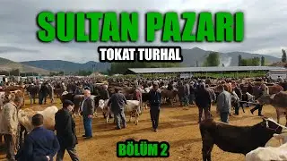 TOKAT TURHAL HAYVAN PAZARI | BÖLÜM 2