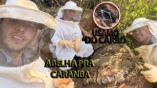 ESSE RESGATE de ENXAME ficou para HISTÓRIA