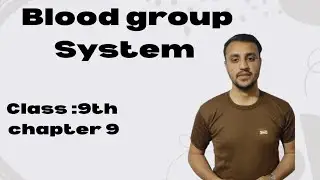 Blood Group System in urdu/ Hindi | class 9th| chapter 9