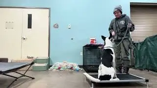 Training with Chuck!