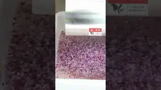 Onion Cutting Machine Onion Chopper Vegetable Dicing Equipment
