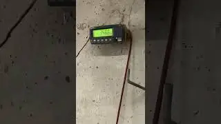 Weighing pigs before shipping to document growth.