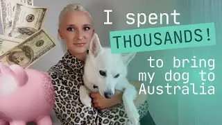 I SPENT OVER $10,000 TO MOVE MY DOG TO AUSTRALIA