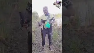 Dusman frog never miss ..enjoying after job ... love to fishing snakehead best result  of fisholic