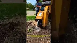 Powerful Stump Grinder in Action | Tree Stump Removal Made Easy.