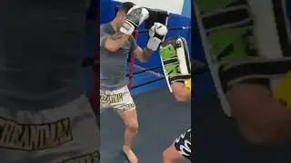 #muaythai #boxing #kickboxing #mma #boxingfan #boxingheads 