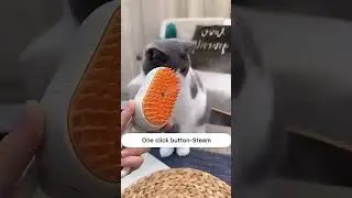 Revolutionary Pet Hair Brush Uses Steam to Deep Clean &ndash; You Have to See This!