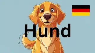 How to say Dog in German | Hund #languagecorner #germanlanguage #germany #learning