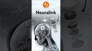 Neuralink | Future of Human-Machine Interaction #vajiramandravi