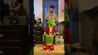 Gemmy 4ft inflatable Grinch