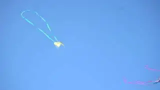 Kites Soar At Cedar Park's 8th Annual Kite Festival