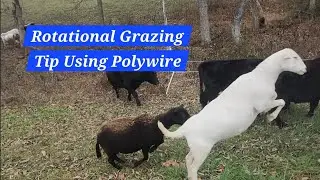 Rotational Grazing Tip Using Polywire