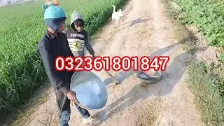 Gurbat sardi ki bhi man hoti hai   