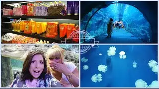 ♡ Dubaï Vlog : Shopping, Aquarium & Croco de 5m ?! (J-4)