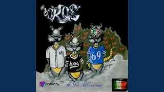 Kaquinos