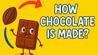 How Is Chocolate Made? Fun Factory Tour for Kids! | Learning with Fun💥