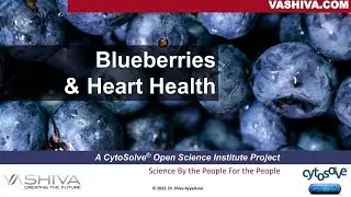 Dr.SHIVA: Blueberries & Heart Health - A CytoSolve&reg; Analysis