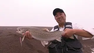 #024 北海道 霧の道東 アメマスに込めたサーフへの想い