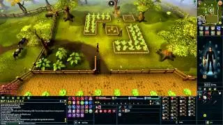 Supreme Jack of Trades Aura | 20k XP Per Day!