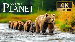 Adorable Wild Planet 🐾 Discovery Relaxation Animal Film with Peace Piano Music & Nature Sounds