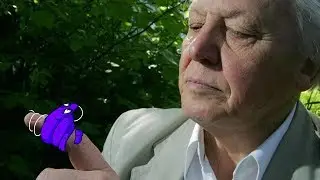 О, червяк? (Документальный фильм)