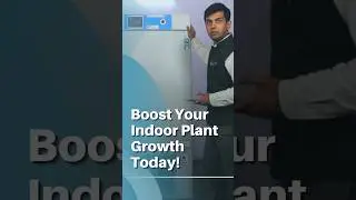 Plant Growth Chamber Setup,What&rsquo;s Inside This High-Tech Box?#plantgrowthchamber #indoorfarming
