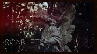 COMA. - SCARLET