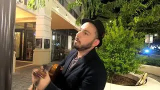 Autumn Leaves: Jazz Violin live looping (5 String Swing)