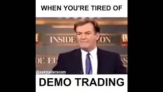 Funny Trading Forex Memes Compilation 2