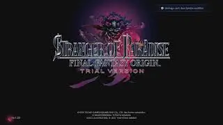STRANGER OF PARADISE FINAL FANTASY ORIGIN TRIAL VERSION Tutorial