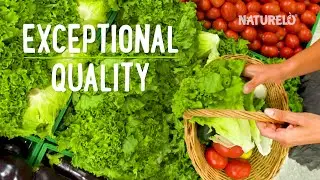 NATURELO Premium Supplements