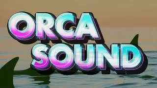 💤 FALL ASLEEP IN 5 MINUTES - 🐋 WHALE SOUNDS - ORCA SOUNDS - KILLER WHALES - 🌊  OCEANIC SOUNDS  💤