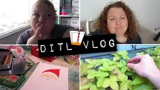 The calm before the storm - VLOGUST - 27th August 2015