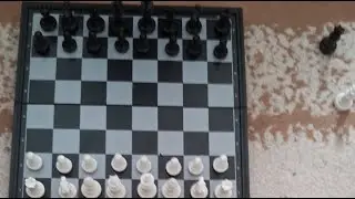 chess world championship between Carpov and Kasparov