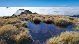 Tararua Hike - Cone-Hector-Alpha Loop 2024 (partial southern crossing)