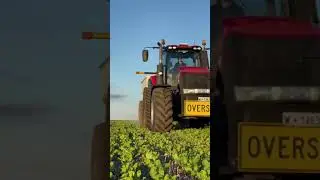 happy frame 2021 noal farm