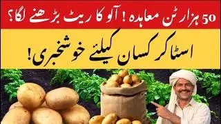Farmers&rsquo; Plans After Pakistan-Kazakhstan Potato Export Deal | Higher Prices Ahead