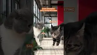 ...masa sih?? #qwords #cat #catmemes #kucing #worklife #officelife #genz #foryou