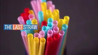 Get your logo on Last Straw the folding reusable drinking straw  New marketing idea