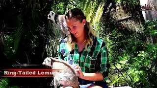 Cango Wildlife Ranch unique Animal Encounters