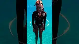 Shell Diving Hawaii #shorts